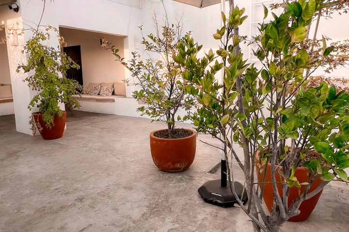 La Casita Studio – Private & Peaceful - 35