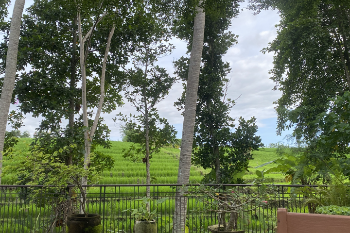 Quiet Neighborhood, Ricefield Views, Near Beach - 1