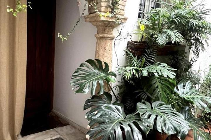 La casa del Retablo - 29