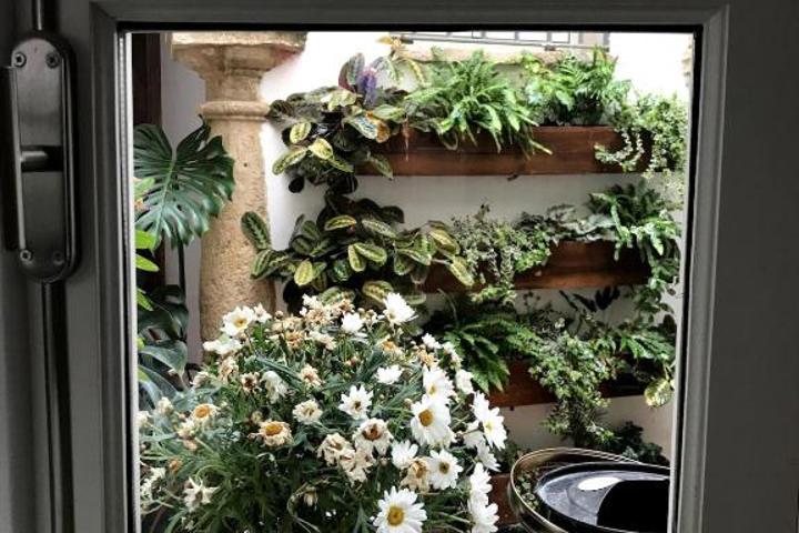 La casa del Retablo - 30