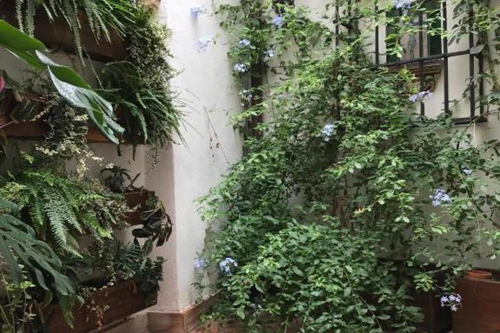 La casa del Retablo - 31