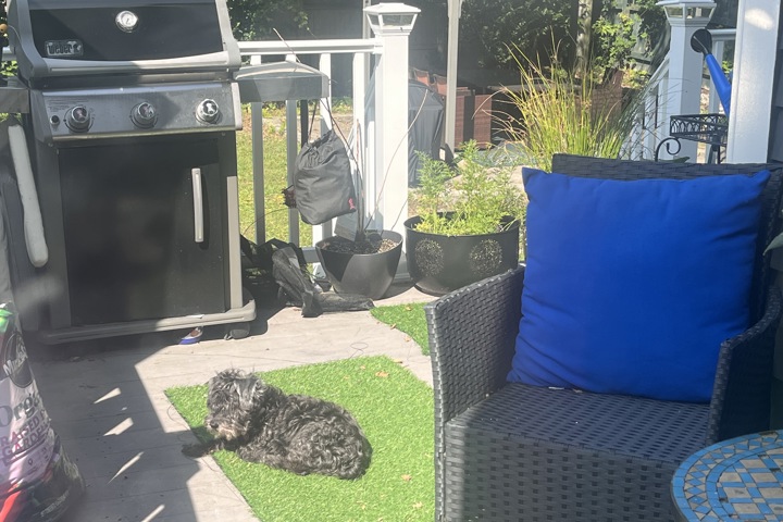 Mi Casa Su Casa by the sea - 10