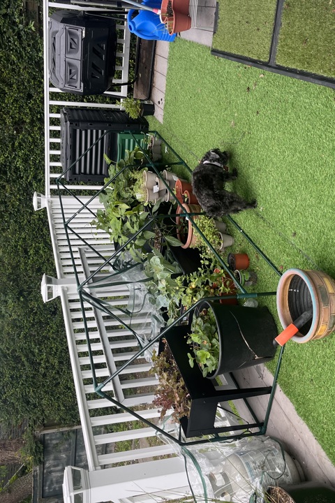 Mi Casa Su Casa by the sea - 8