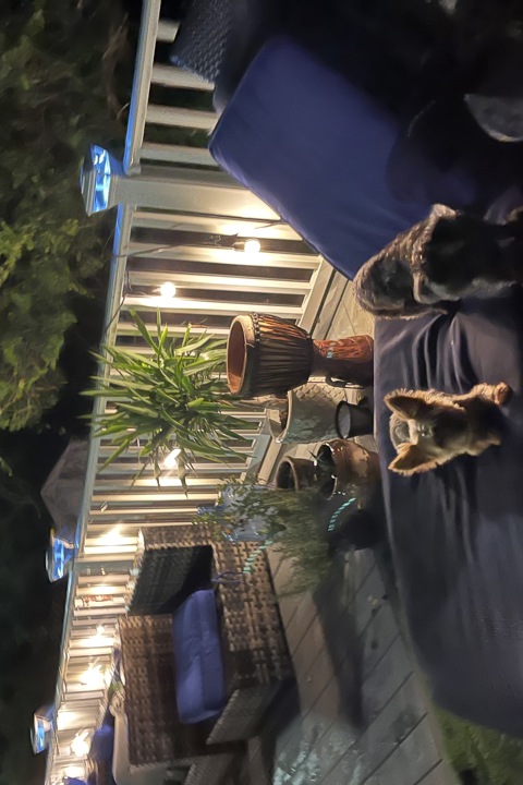 Mi Casa Su Casa by the sea - 20