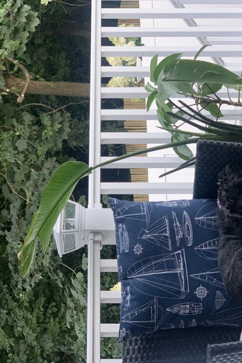 Mi Casa Su Casa by the sea - 24