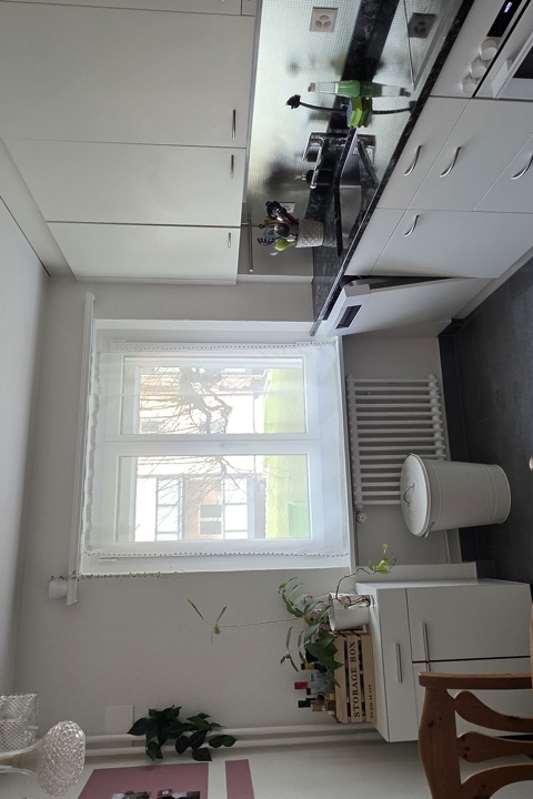 Modern Apartment Between Nature & Zurich - 2