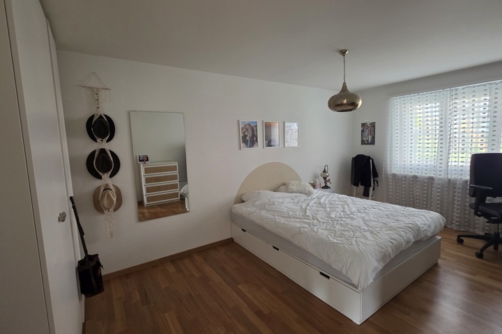 Modern Apartment Between Nature & Zurich - 3