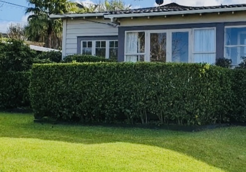 home swap in Auckland, New Zealand
