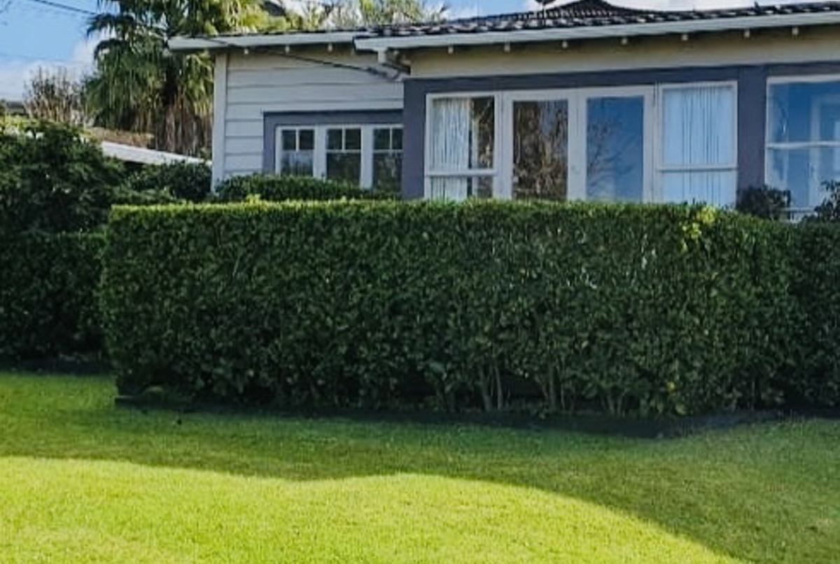 Kiwi Bungalow in the Bays