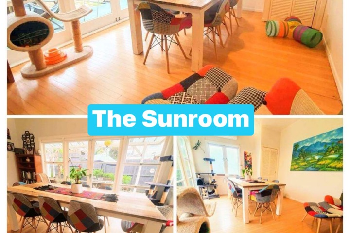 Kiwi Bungalow in the Bays - 5