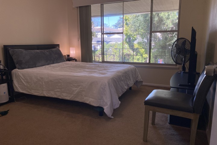 Bright, Cozy Home in a Walkable Neighborhood - 7