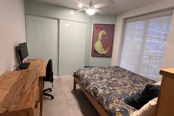 XMAS in sunny Sydney - fantastic renovated place - 3