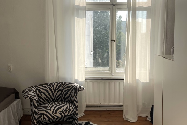 Bright & Charming Altbau Flat in Central Berlin - 3