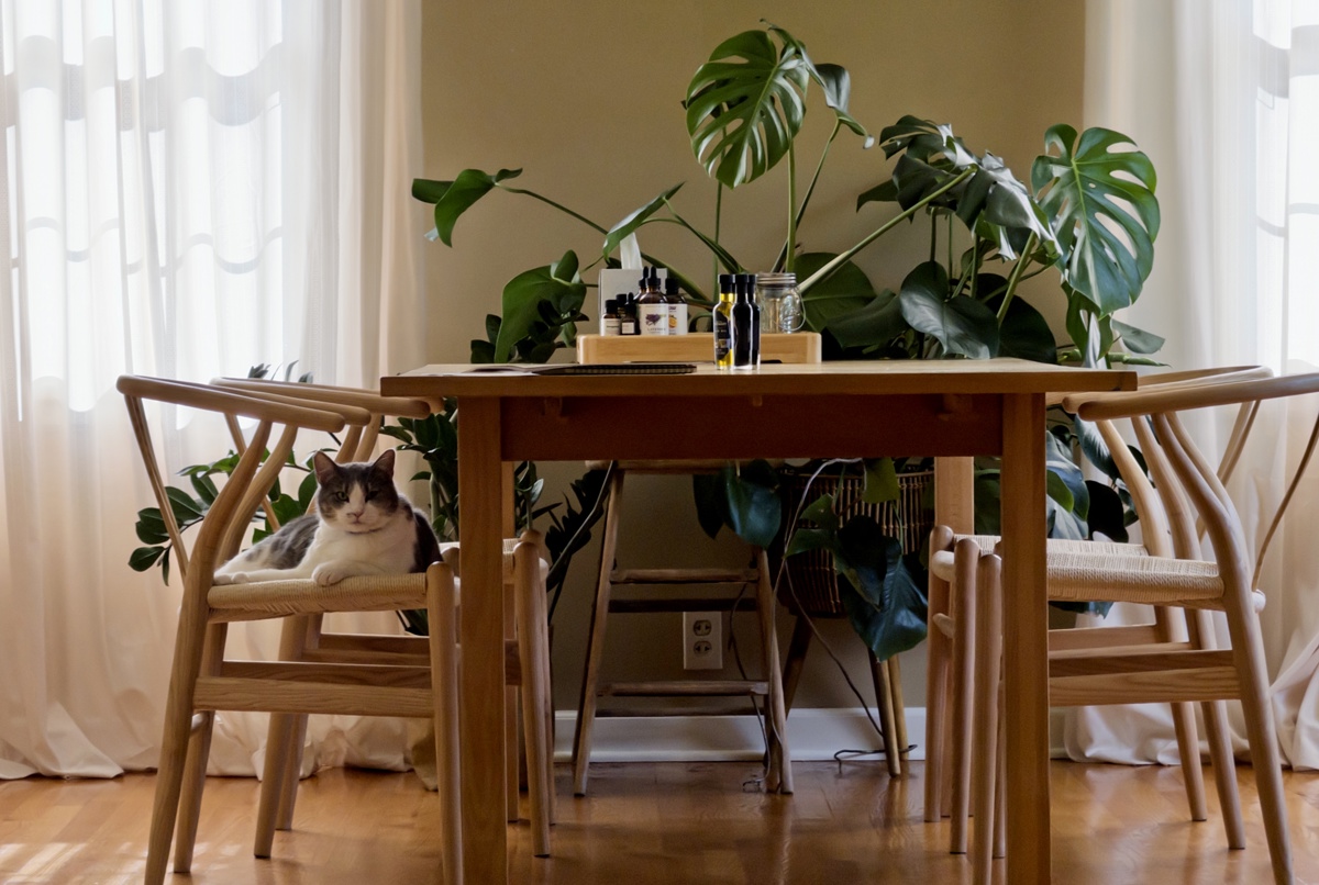 Cape Cod House in America's Maple Leaf City