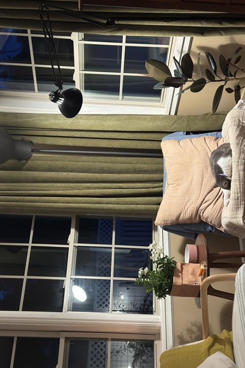 Cape Cod House in America's Maple Leaf City - 3