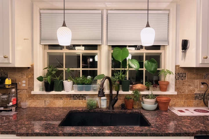 Cape Cod House in America's Maple Leaf City - 8