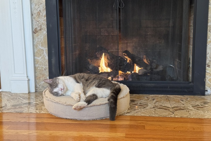 Cape Cod House in America's Maple Leaf City - 12