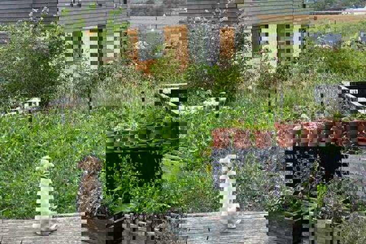 130 m2 beautiful house with 2 terraces - 13