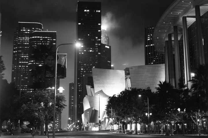 Tranquil Penthouse Loft in the heart of LA - 12