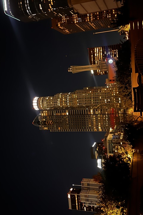 Tranquil Penthouse Loft in the heart of LA - 4