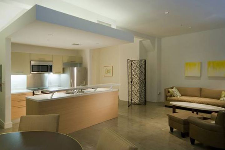 Tranquil Penthouse Loft in the heart of LA - 5