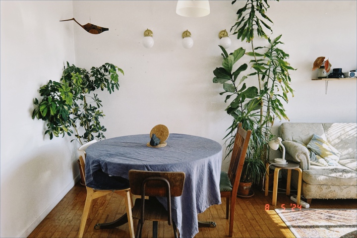 Calm, Sunny Home Near Lisbon and the Beach - 5