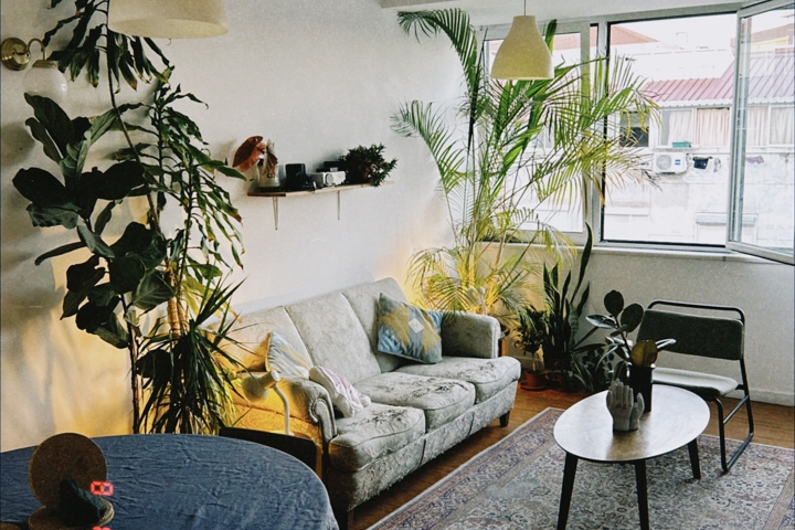 Calm, Sunny Home Near Lisbon and the Beach - 21