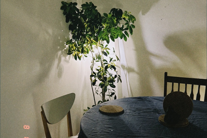 Calm, Sunny Home Near Lisbon and the Beach - 25