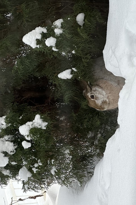 Peaceful Riverside Townhouse Near the City Center - 7