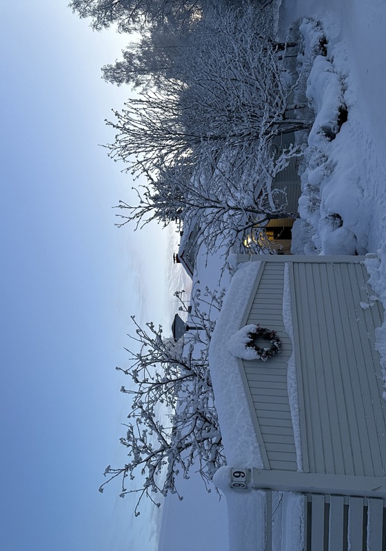home swap in Jyväskylä, Finland