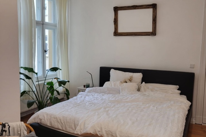 Historic Berlin Apartment - 8