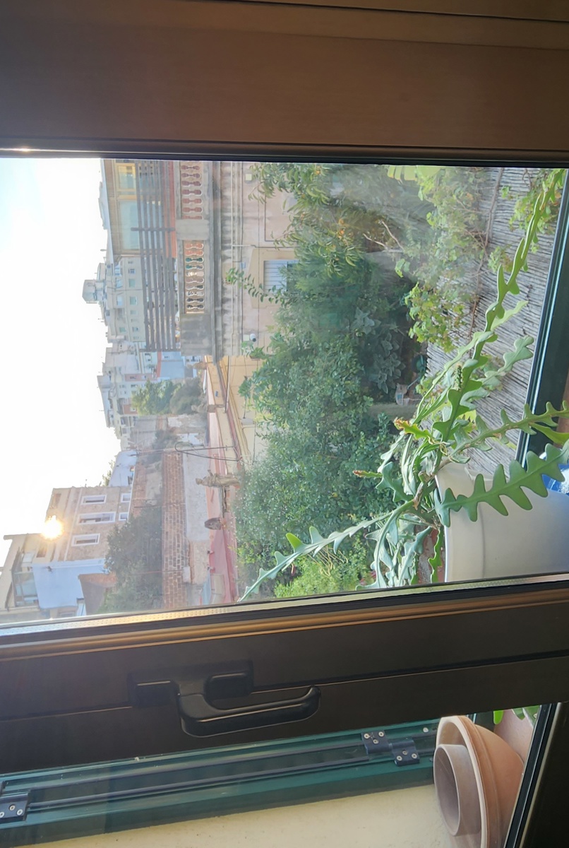 Bright room in a sunny shared flat in Poble Sec