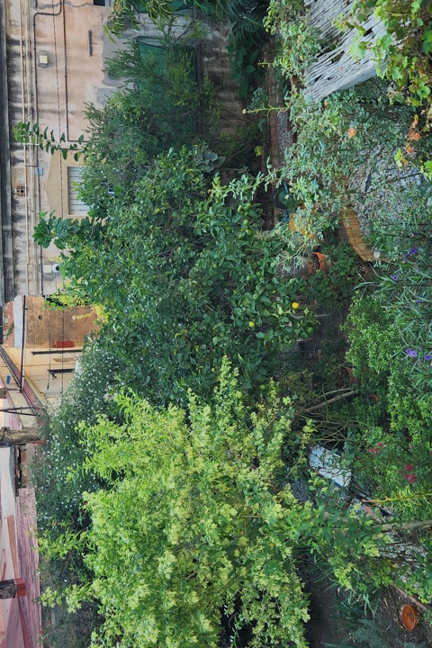 Bright room in a sunny shared flat in Poble Sec - 3