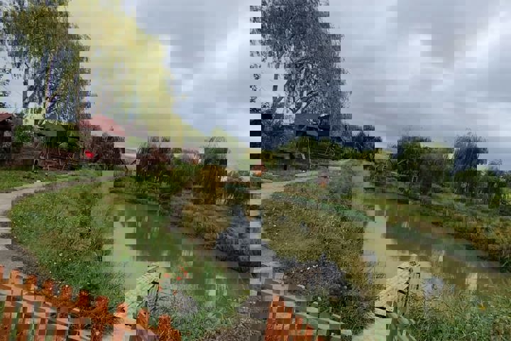 Hostiuc Lake House - 1