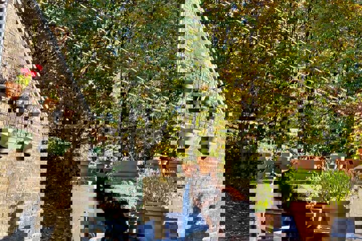 Colourful 2 bed home with CAT! - 18