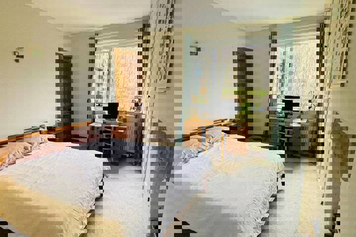 Colourful 2 bed home with CAT! - 9