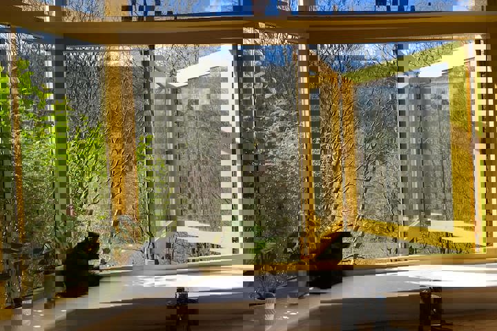 Colourful 2 bed home with CAT! - 2