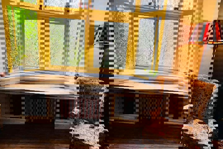 Colourful 2 bed home with CAT! - 3