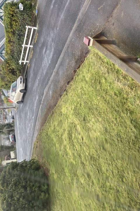 Cozy family home in Dunedin - 3
