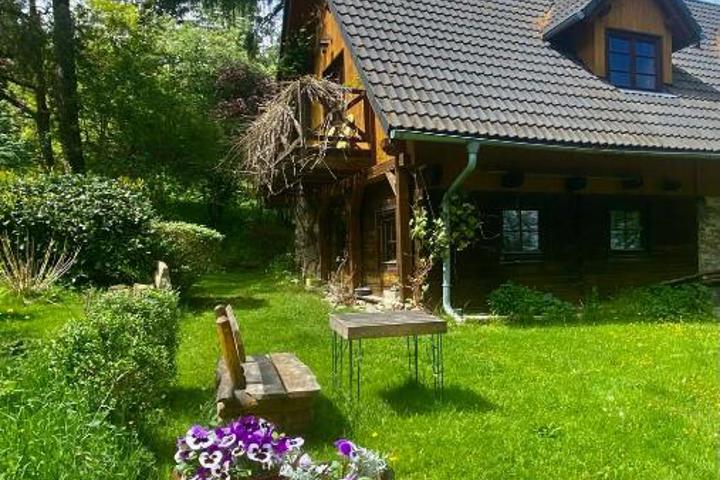 Kozia Szyja Art Gallery Apartement - 2