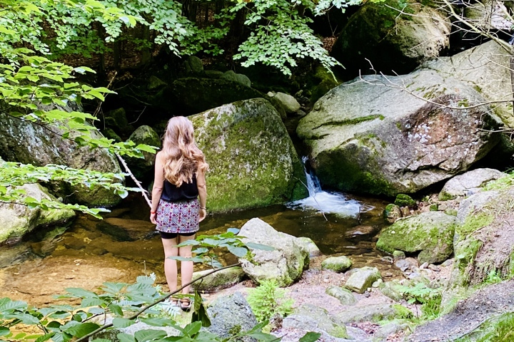 Kozia Szyja Art Gallery Apartement - 12