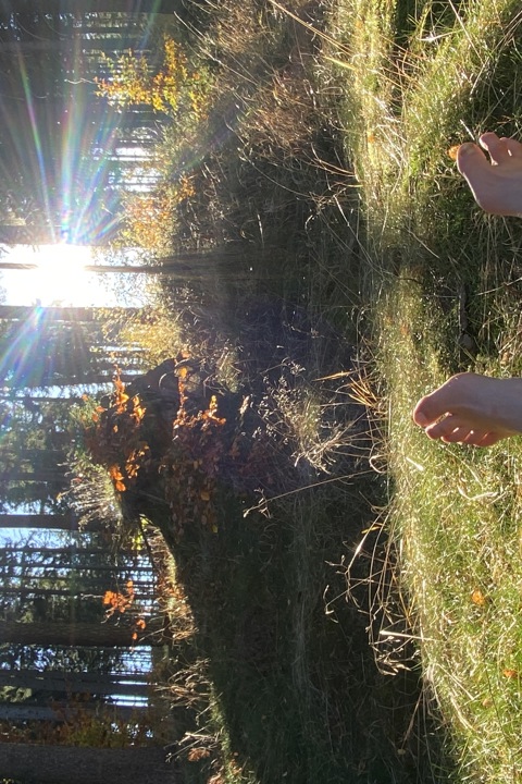 Kozia Szyja Art Gallery Apartement - 14