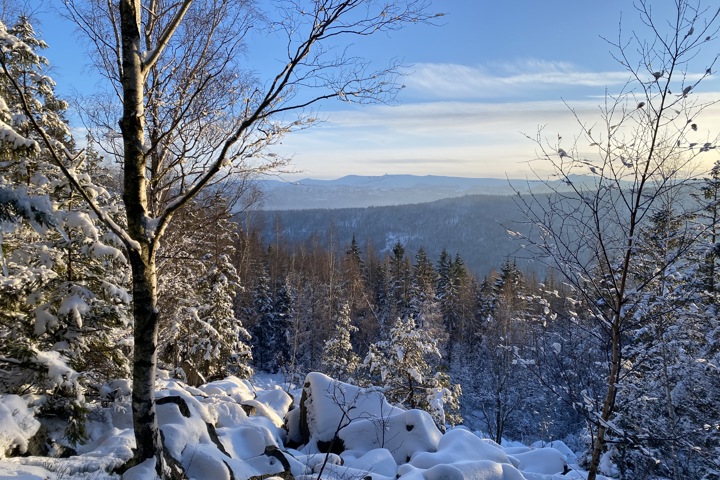 Kozia Szyja Art Gallery Apartement - 16