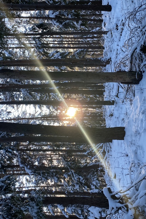 Kozia Szyja Art Gallery Apartement - 17