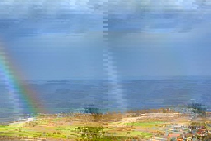 Kozia Szyja Art Gallery Apartement - 1