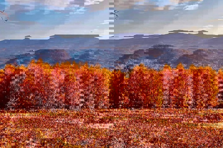 Kozia Szyja Art Gallery Apartement - 19