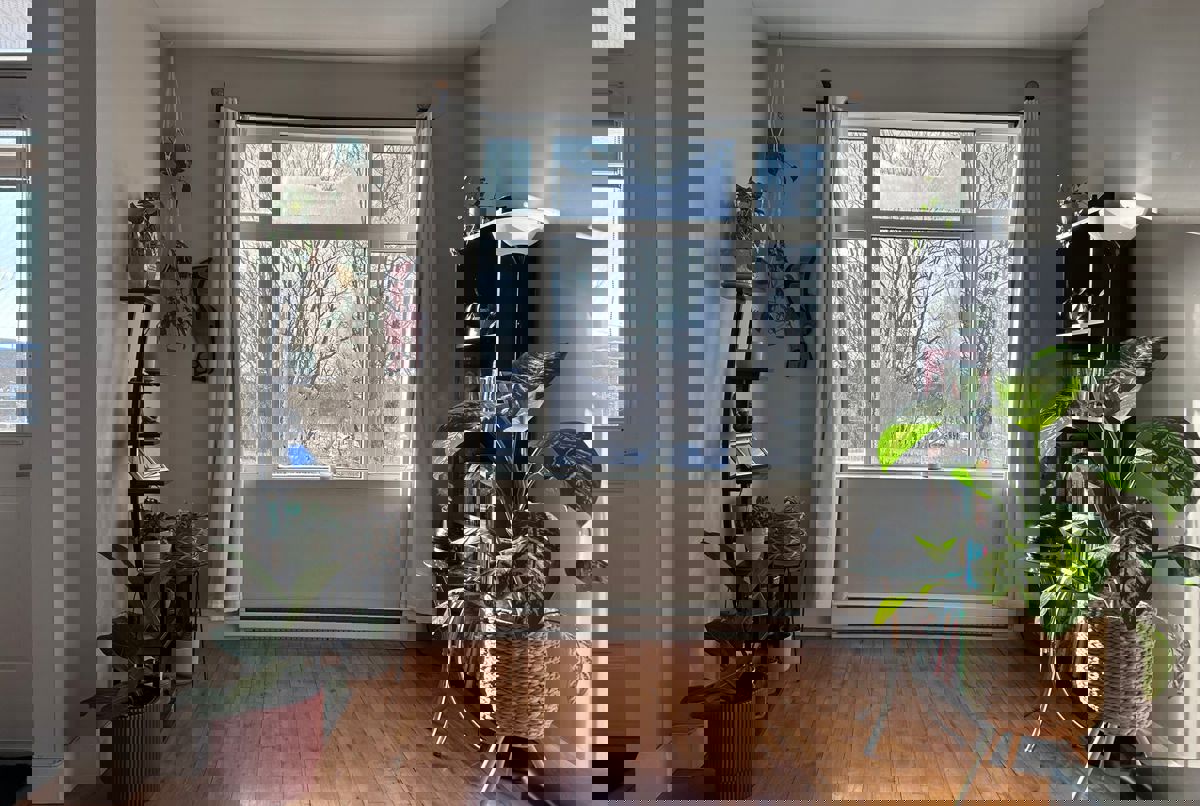 Fully equipped apartment near downtown