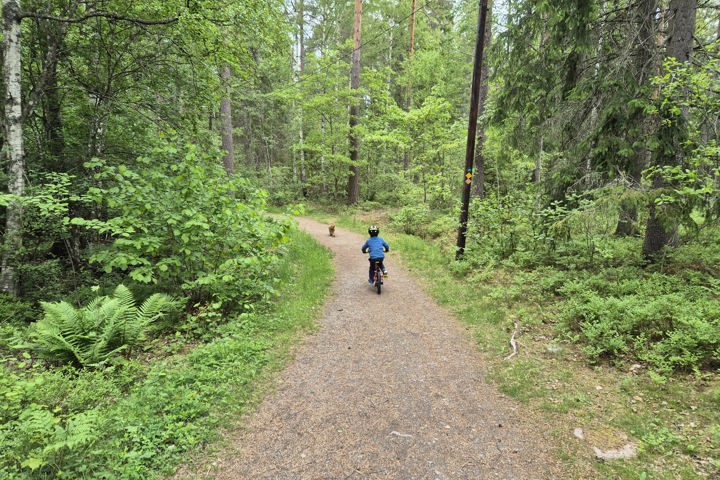 Relaxed, Well-Connected Home in Märsta - 14