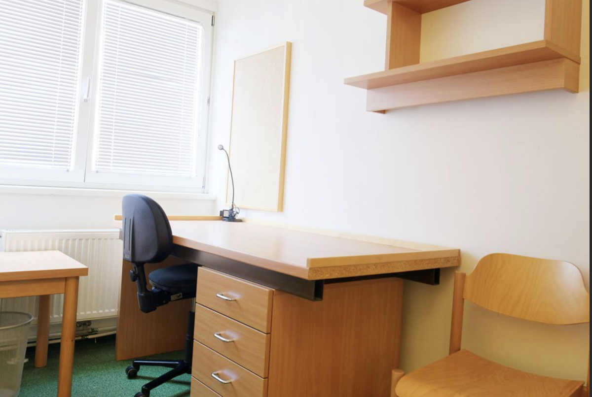 Convenient Apartment in the Heart of Vienna