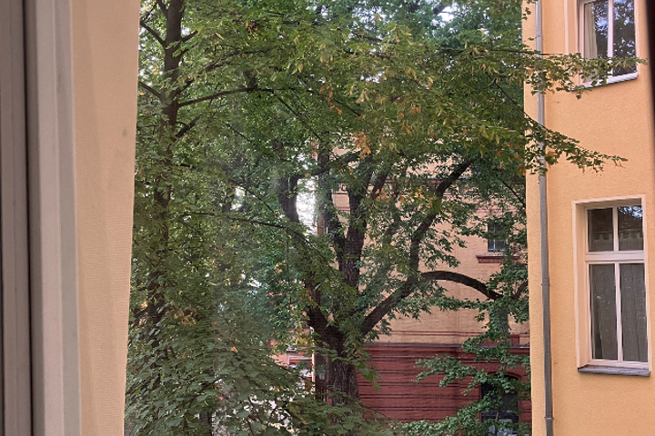 Beautiful cozy flat in the heart of Kreuzberg - 6